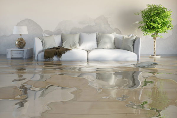 How to Find a Water Leak Inside a Wall: Signs, Detection Methods ...