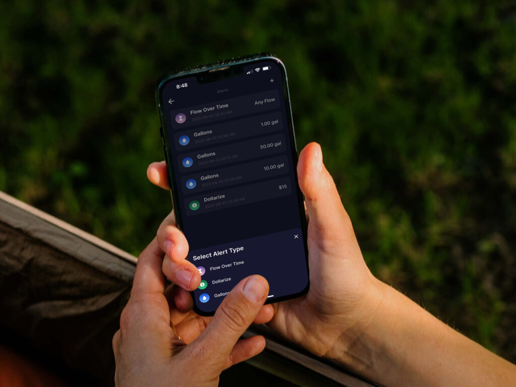 bluebet referral code