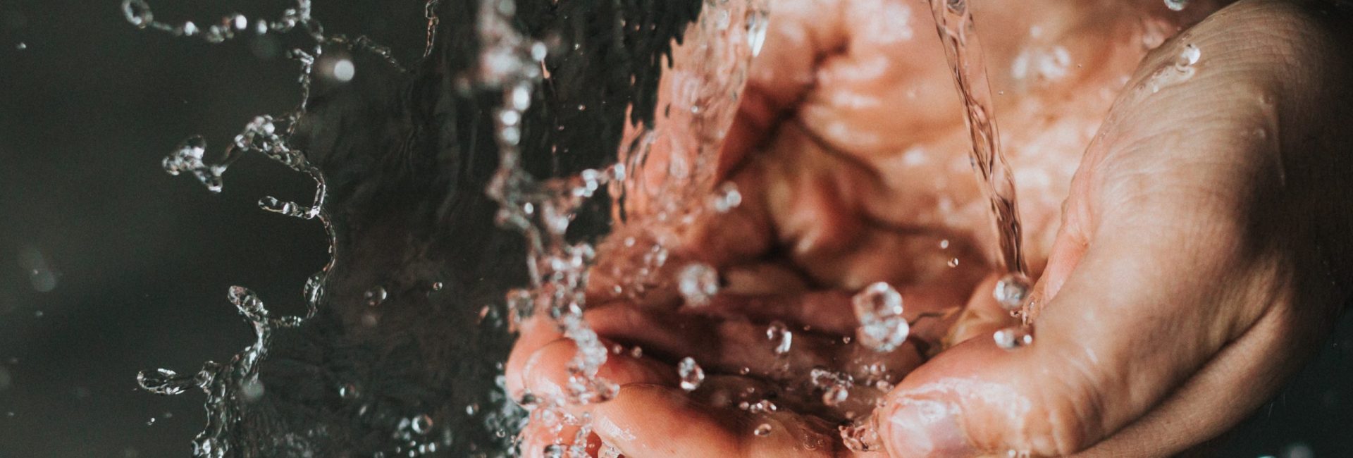 nathan-dumlao-kDxqbAvEBwI-unsplash (1)