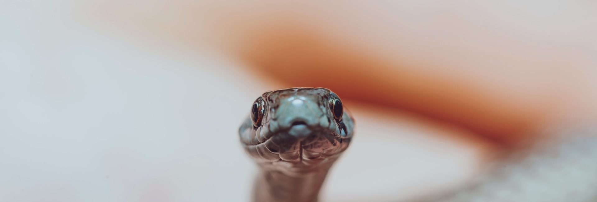 timothy-dykes-gR_eBFetH38-unsplash